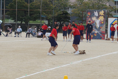 DSC02700