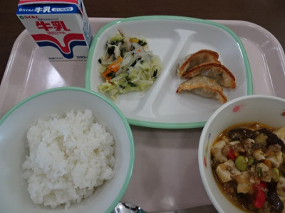DSC02504