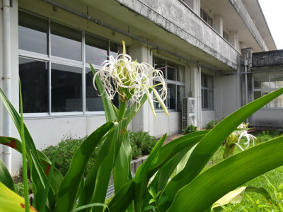 DSC02633