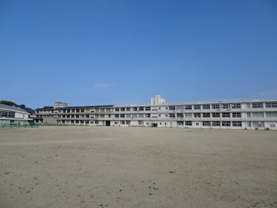 DSC03774
