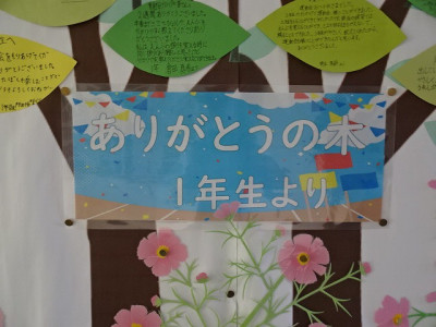 DSC04055