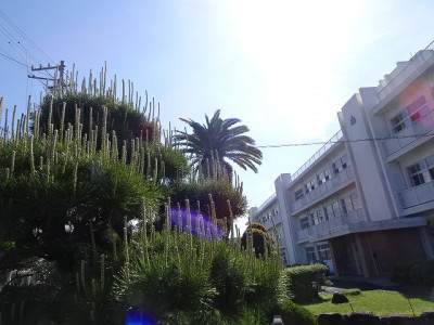 DSC01256