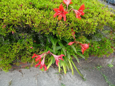 DSC01447