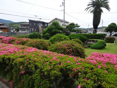 DSC01615