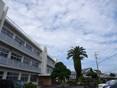 DSC02245