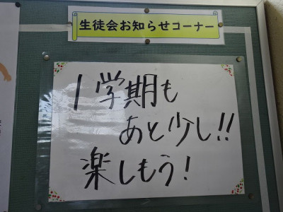 DSC02431