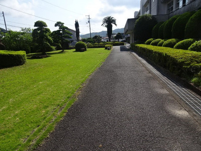 DSC02474