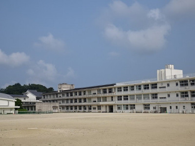 DSC02538