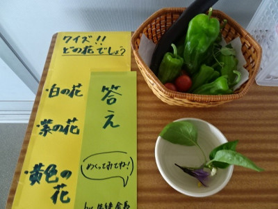 DSC02540