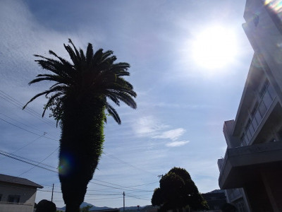 DSC02549