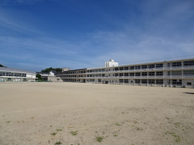 DSC02555