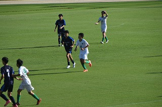 DSC_7810