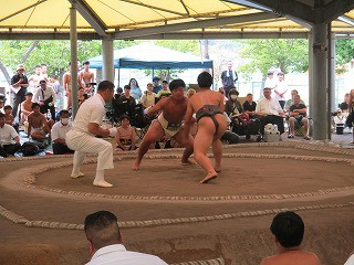 IMG_2488