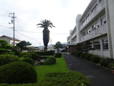 DSC03651