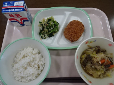 DSC04242