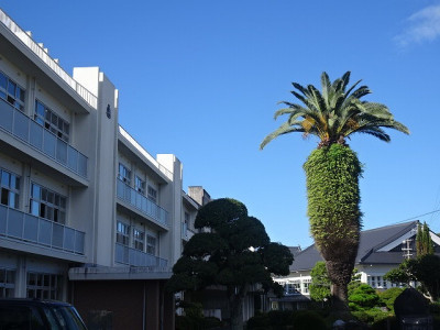 DSC04245
