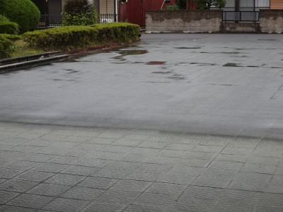 DSC04580