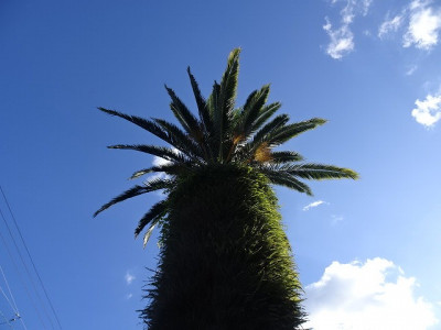 DSC04788